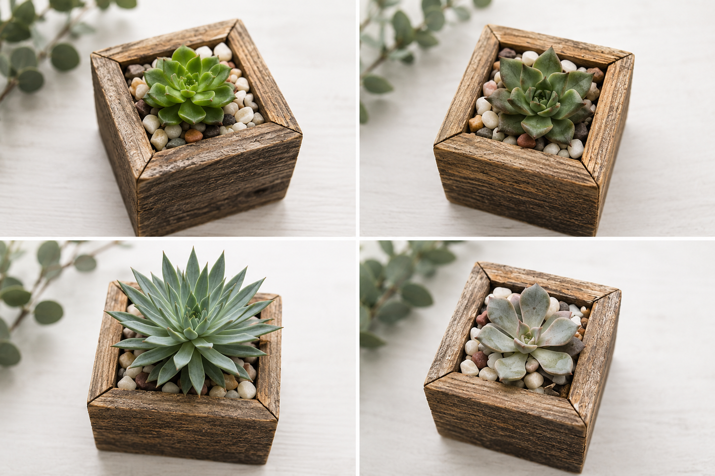 Rustic Charm Succulent Planter