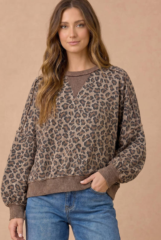 Wild Side Leopard Pullover