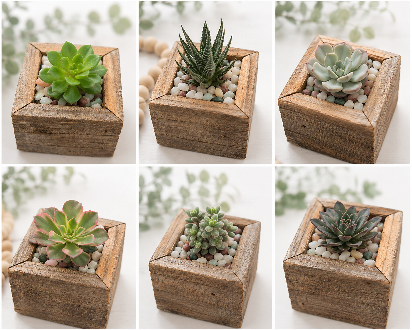Rustic Charm Succulent Planter