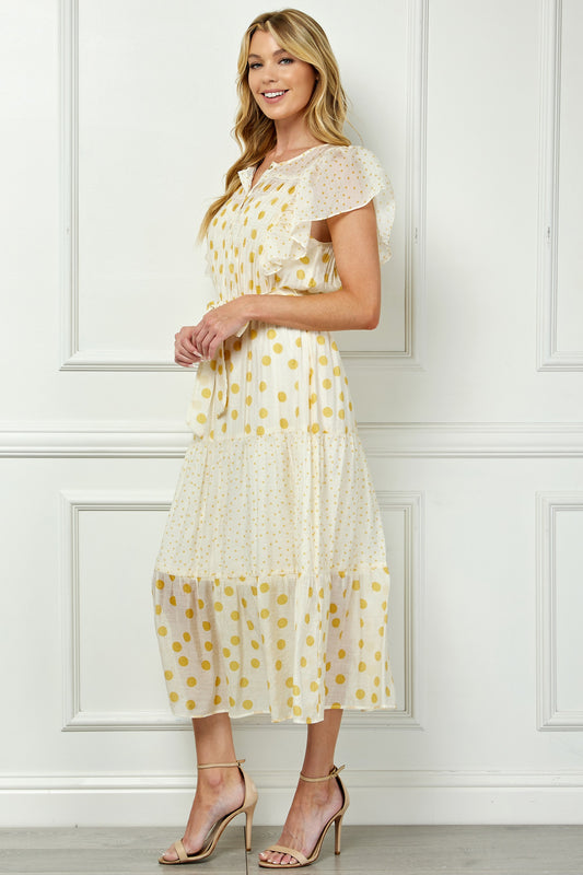 Ruffled Polka Dot Dress